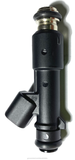 Ricambi Auto Usati Vicino A Me | F80T2005 iniettore carburante 96493843 1571085z10