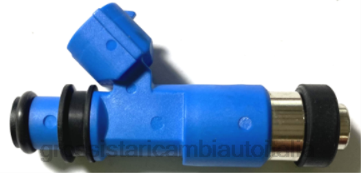 Ricambi Auto Palermo | F80T2407 iniettore di carburante 16611aa720 SUBARU